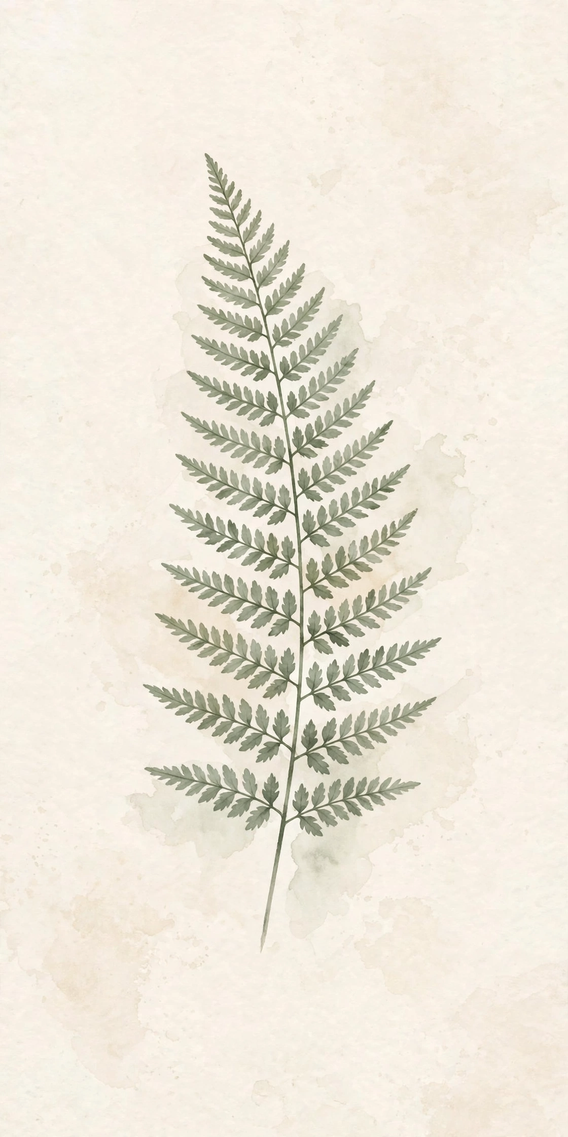 Watercolor fern print