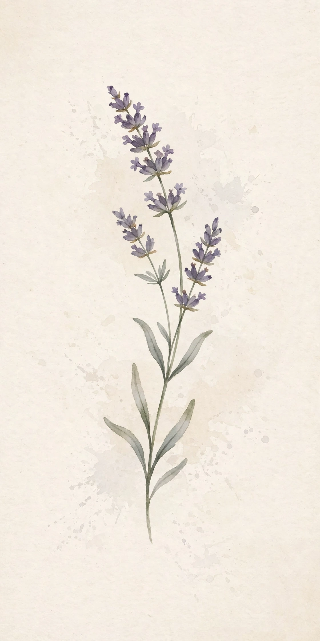 Watercolor lavender sprig print