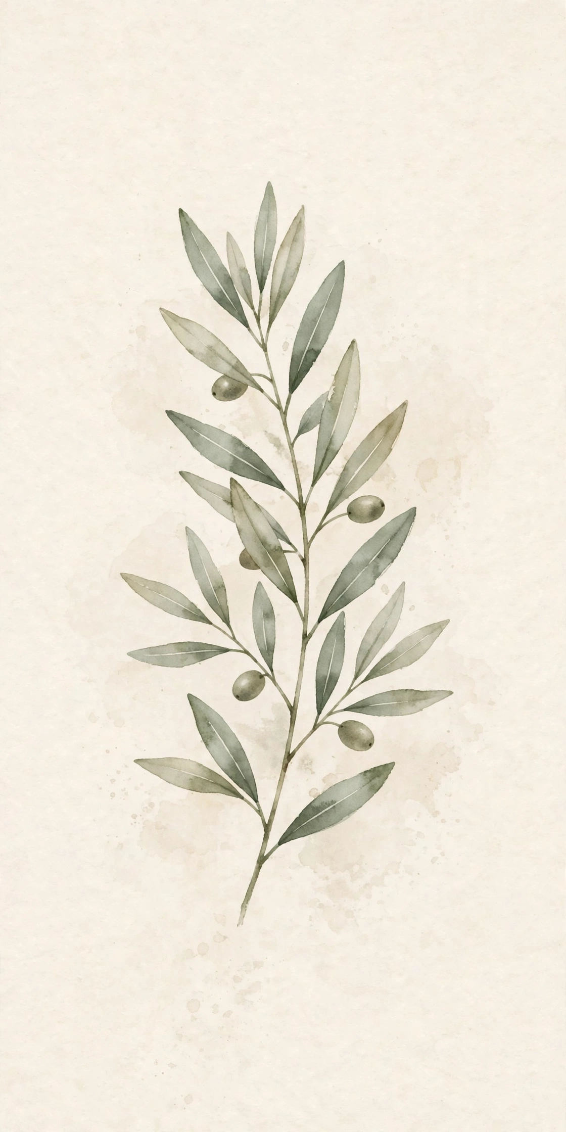 Watercolor olive branch print